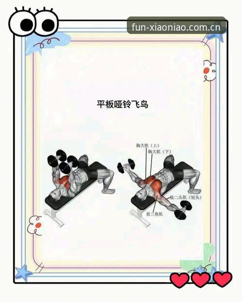 小鸟综合体育使用技巧：从下载到流畅观赛的每一步